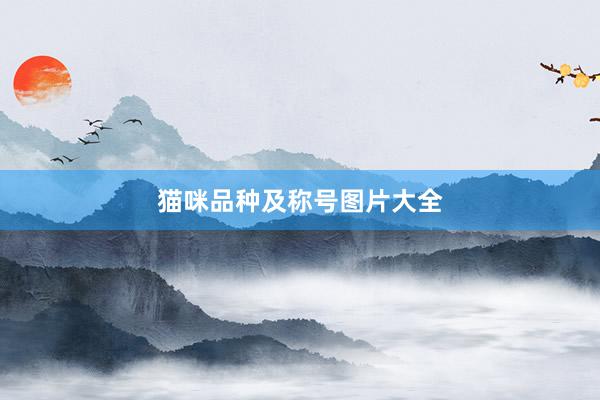 猫咪品种及称号图片大全