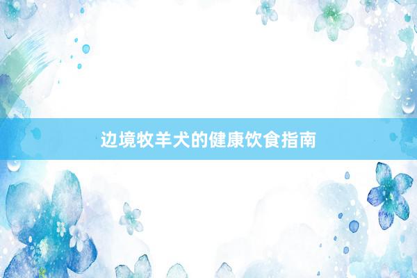 边境牧羊犬的健康饮食指南